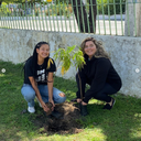 Educação Ambiental