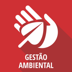 10 GES AMBIENTAL.png