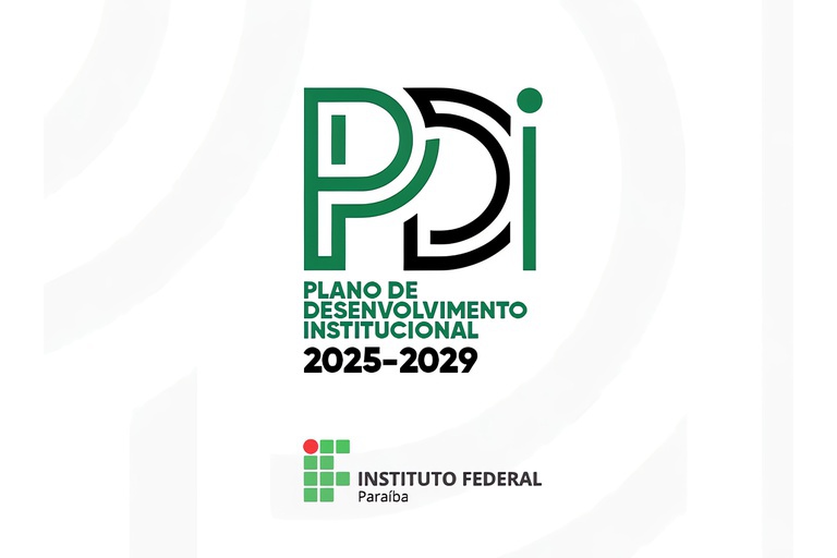 PDI 2025-2029.jpeg