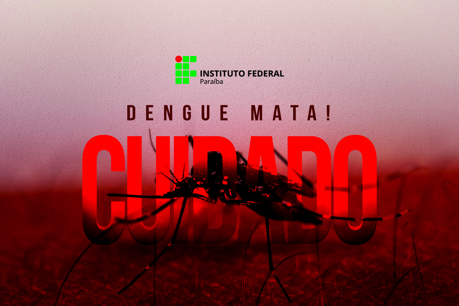 dengue=============================.jpg