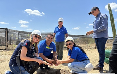 Visita técnica às usinas fotovoltaicas 2.jpeg